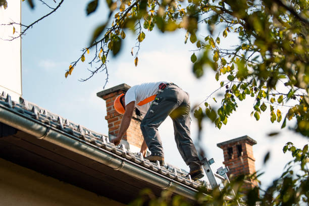 Best Affordable Roofing Company  in Goodrich, MI