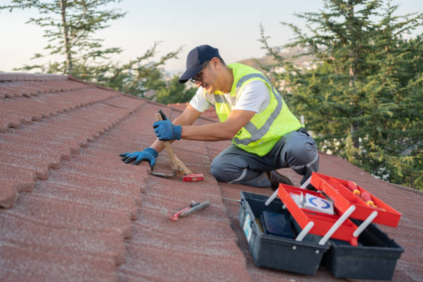 Best Roof Waterproofing Services  in Goodrich, MI