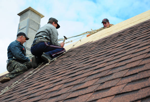 Best Roof Inspection Near Me  in Goodrich, MI