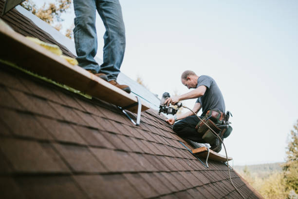 Best Roof Maintenance Services  in Goodrich, MI