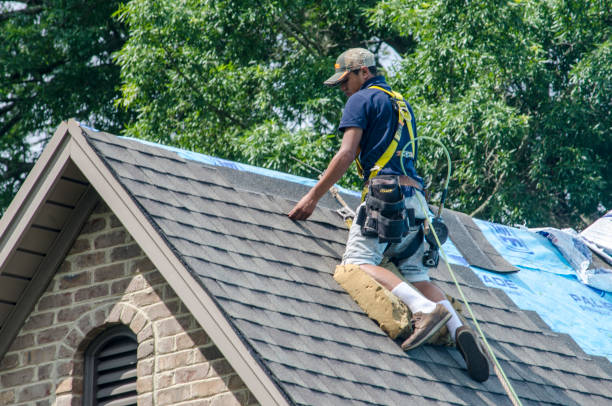 Best Roofing Contractor Near Me  in Goodrich, MI